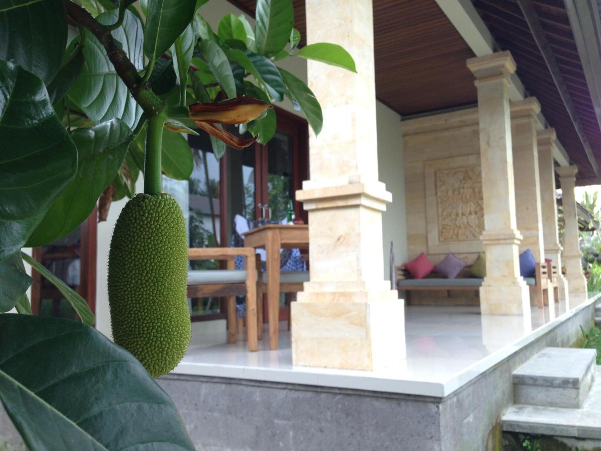 Masia Villa Ubud Экстерьер фото