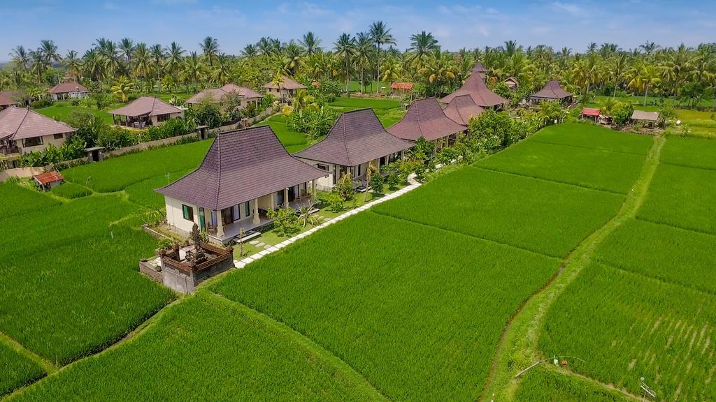 Masia Villa Ubud Экстерьер фото