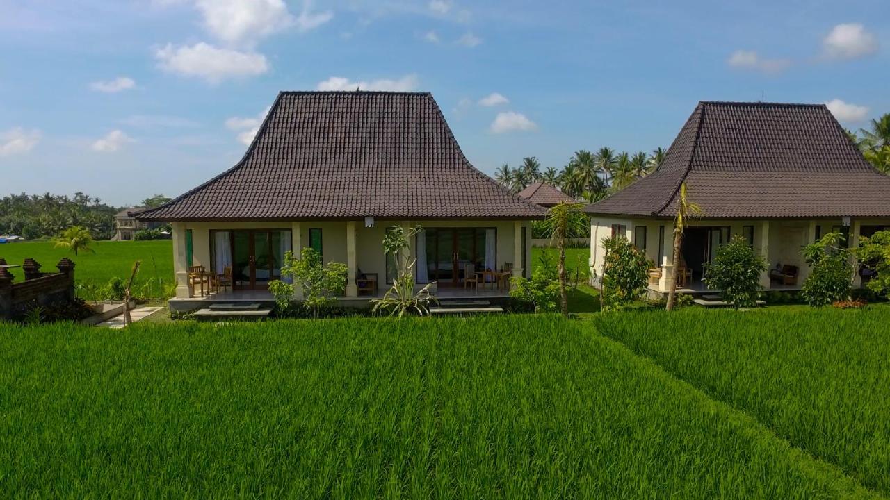 Masia Villa Ubud Экстерьер фото